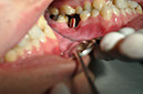 %_tempFileNameImplant%2032La6%