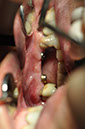 %_tempFileNameImplant%2040b2%