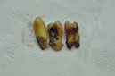 %_tempFileNameImplant%2045a4%