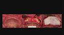 %_tempFileNameImplant%2053h2%