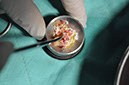 %_tempFileNameImplant%2090b3%