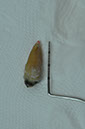 %_tempFileNameImplant%2095a5%