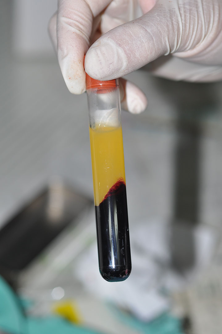 %_tempFileNameImplant%20120b3%