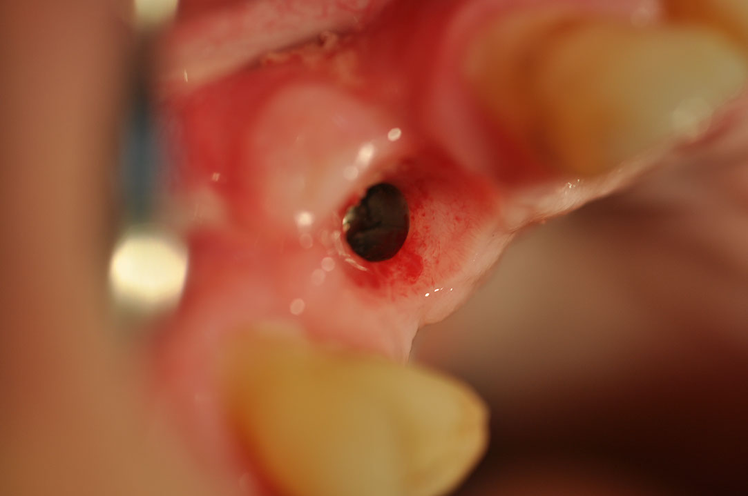 %_tempFileNameImplant%20120c2%