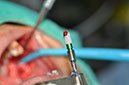 %_tempFileNameImplant%20124a4%