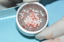 %_tempFileNameImplant%20124a7%