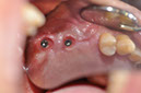 %_tempFileNameImplant%20124c4%