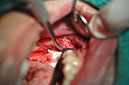 %_tempFileNameImplant%20125a6%