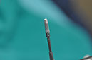 %_tempFileNameImplant%20126a5%
