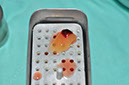 %_tempFileNameImplant%20128a4%