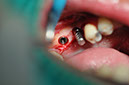 %_tempFileNameImplant%20129b5%