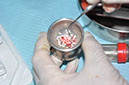 %_tempFileNameImplant%20129c3%