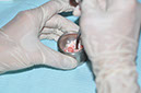 %_tempFileNameImplant%20130a6%