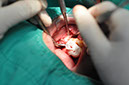 %_tempFileNameImplant%20130a7%